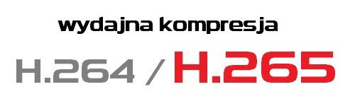 h265a.jpg